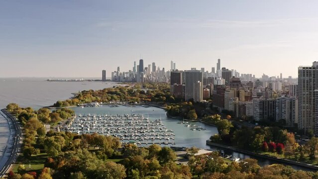 Panning out aerial clip above Belmont Harbor surrounded by fall colored foliage and Lakeview highrise buildings with a view of the downtown Chicago skyline on a sunny day.