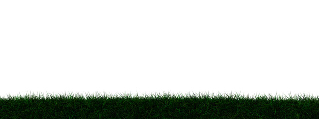 Grass transparent illustration background field