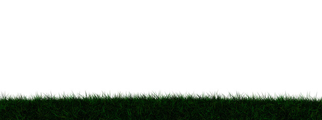 Grass transparent illustration background field