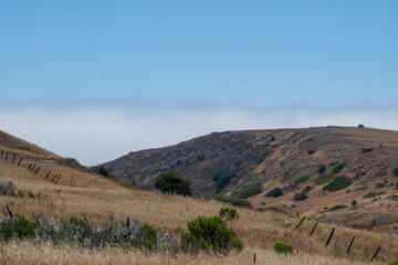 Channel Islands National Park, Santa Cruz Island off the coast of California, USA