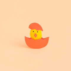 DIY Easter chicken in an eggshell. Beige background, concept. Isolate.