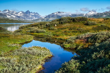Nationalpark Jotunheimen, Norwegen, Skandinavien mit Landschaft typisch für Fjell, Fjäll - obrazy, fototapety, plakaty