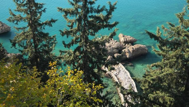 A beautiful landscape of a rocky shore with pine trees, shot from top to bottom on a clear summer day. High quality 4k footage