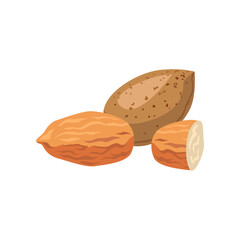 Almonds for creating your own ice cream. Almonds cartoon illustration. Summer, sundae concept