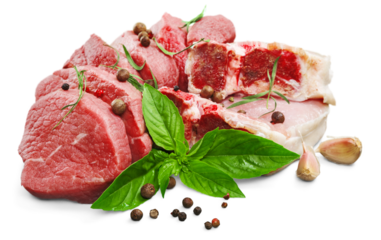 Collections fresh raw meat with spices