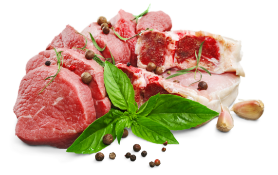 Collections fresh raw meat with spices