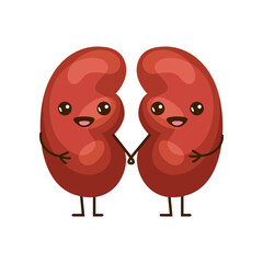 Happy comic kidneys flat vector illustration. Cute healthy kidneys cartoon character on white background. Medicine, physiology, biology, anatomy concept