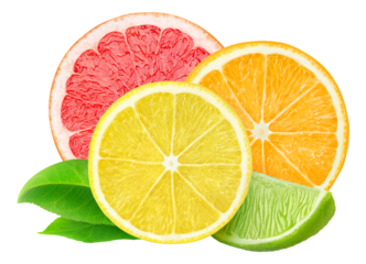 Slices of various citrus fruits (lemon, lime, orange, grapefruit) cut out