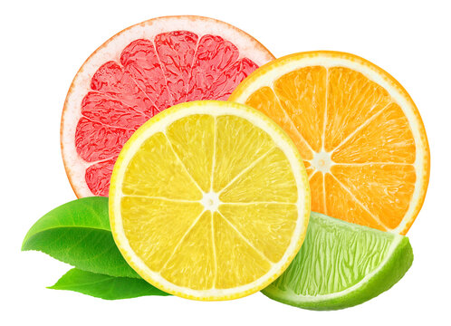 Slices of various citrus fruits (lemon, lime, orange, grapefruit) cut out