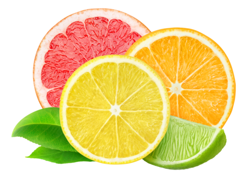 Slices of various citrus fruits (lemon, lime, orange, grapefruit) cut out