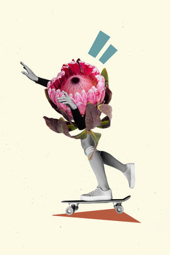 Vertical creative photo collage illustration of weird bodyless girl flower instead of body skating isolated on white color background