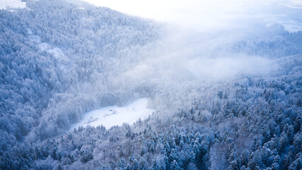 snow covered mountains forest