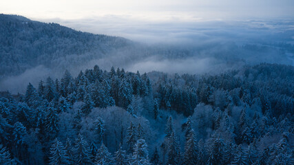 misty morning in the mountains
