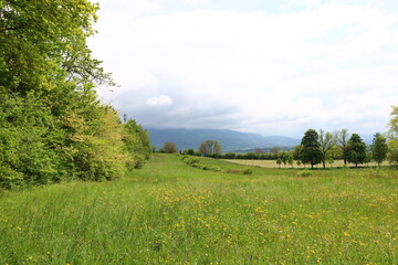 Obraz premium View on a valley in the department of Haute-Savoie