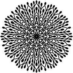 abstract flower with ornaments and dots forming a mandala on a white background, Vector Art. vector mandala