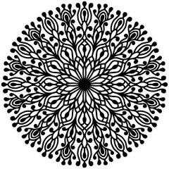 drawn floral ornaments of black color on a white background for printing. vector mandala
