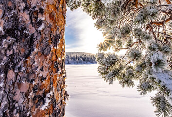 Wintertime in Lapland