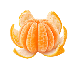 One peeled citrus fruit, orange or tangerine cut out