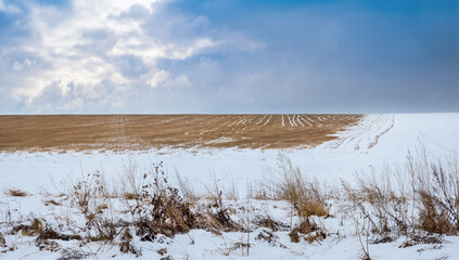 a snowy field with stubble patterns after it has been harvested, a cold day with snow and a dark sky.