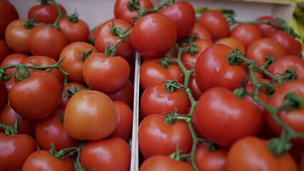 Tomatoes on display for sale at food street market