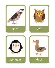 card with birds quall, owl, duck, penguin vector set