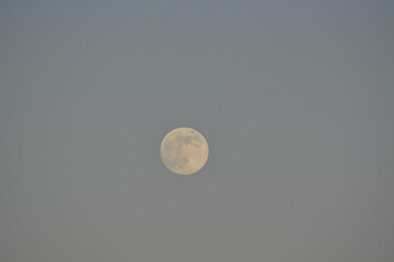 strawberry moon