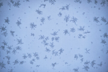 Abstract winter background, snowflakes on glass.