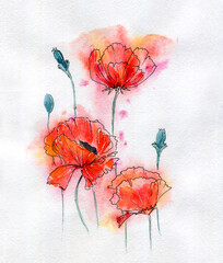 Collection of watercolor poppy flowers. Set of beautiful watercolor poppy on white background. Perfect for wedding invitations, greeting cards, quotes, blogs, posters and DIY.