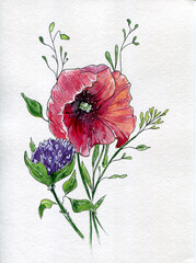 watercolor drawing flowers , floral background, hand drawn illustration