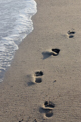Fototapeta na wymiar pisadas en la arena a la orilla del mar