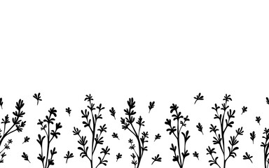 Thyme leaves seamless horizontal pattern. Food vector on white background.