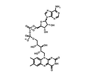 Chemical formula flavin adenine dinucleotide. Vector illustration