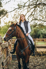 A young female jockey is sitting on her horse in show jumping training. Preparing for the...