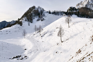 Fototapeta na wymiar Paesaggio invernale con neve