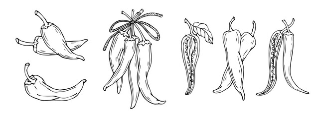 Linear sketches of hot chili pepper pods, spicy vegetable halves and pieces. Vector graphics.