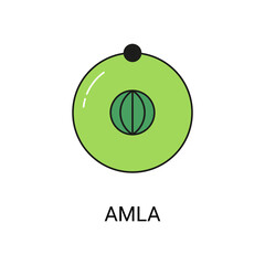 Amla Exotic Fruit Icon Element for Web