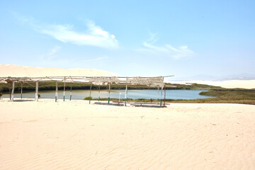 Laguna de  Moron. Oasis