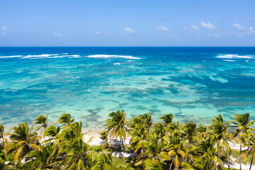 Bounty and prestine tropical shore with coconut palm trees and turquoise caribbean sea. Aerial view from drone