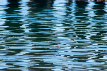 Channel Islands National Park, Santa Cruz Island off the coast of California, USA