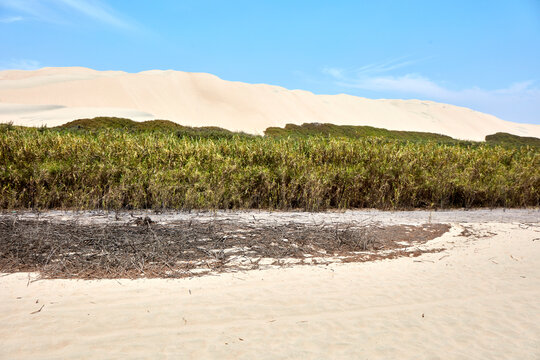 Paracas