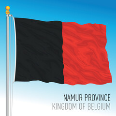 Namur Province flag, Kingdom of Belgium, vector illustration