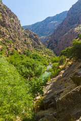 Fototapeta na wymiar Canyon near Palangan village in Kurdistan region, Iran
