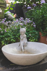 fountain in the garden