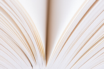 Macro view of opened book pages