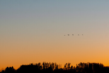 sunset over the lake