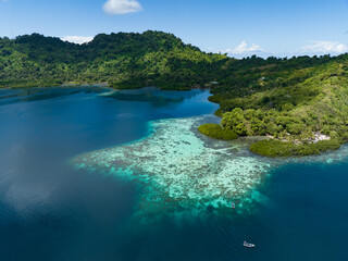 Fototapeta na wymiar A scenic tropical island is fringed by a healthy coral reef in the Solomon Islands. This beautiful country is home to spectacular marine biodiversity and many historic WWII sites.