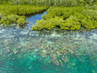 A scenic mangrove forest is fringed by a healthy coral reef in the Solomon Islands. This beautiful country is home to spectacular marine biodiversity and many historic WWII sites. - obrazy, fototapety, plakaty