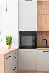 Modern kitchen with wooden furniture, counter, sink, oven and plant. Simplicity and comfortable style at home. New apartment. Vertical.