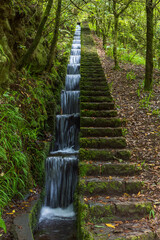 Levada do furado in Ribeiro Frio, Madeira, Portugal.