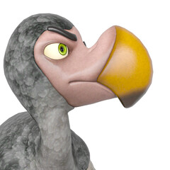 dodo cartoon is angry on id profile picture © DM7